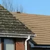 A Clean Roof= A Happy Roof!